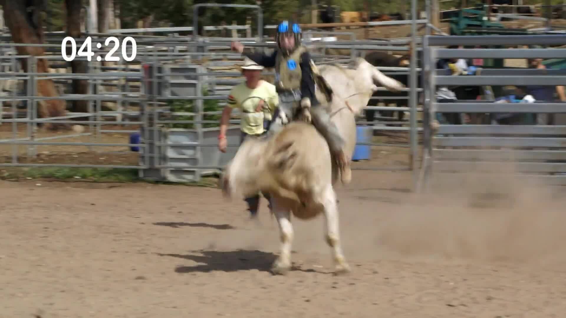 How to Ride a Bull